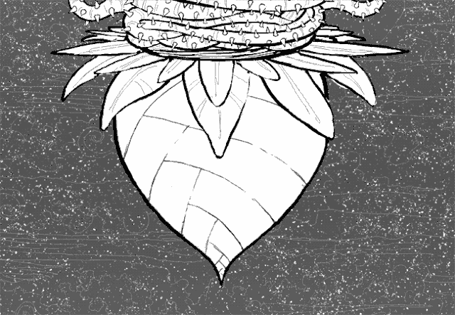 File:FETAL SEEDPOD.gif
