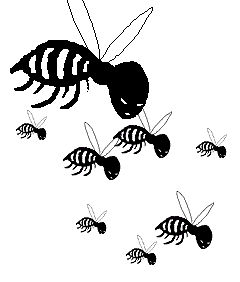 LABORER WASPS