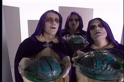 TheObservers
