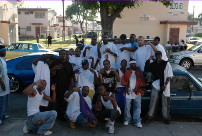 grape street crips grape street crips