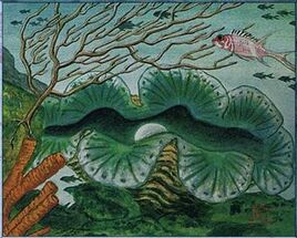 Ostra