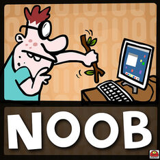 Noob at his computer