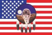 Native American flag