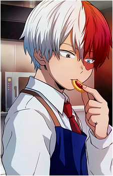 Shouto Todoroki | Mudae Wiki | Fandom