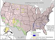 Map Leading Group by County US