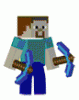 SteveNZ-0