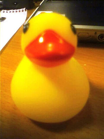 File:Hello Ducky!.jpg