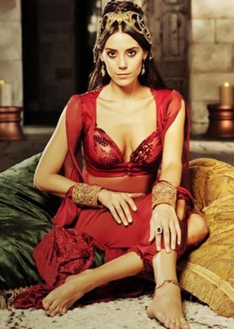 firuze hatun muhtesem yuzyil wiki
