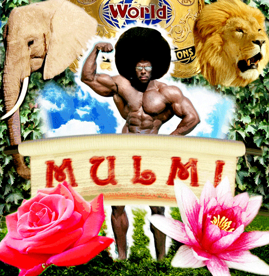 Poster hul