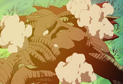 Zoanoid41