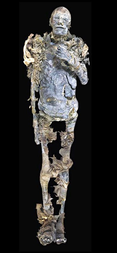 Amenhotep III egyptian mummy | Mummipedia Wiki | FANDOM powered by Wikia