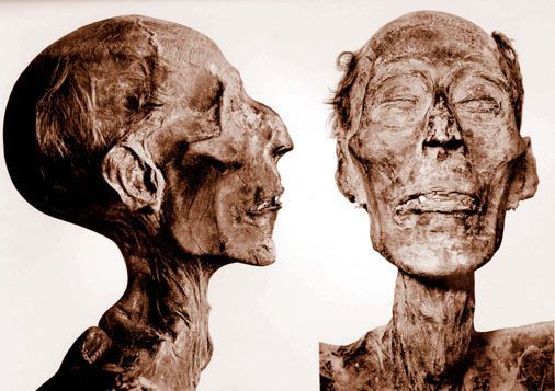 The mummy of Ramses II, one of the most famous Egyptian pharaoh
