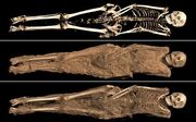 Mummy-split 2860580c