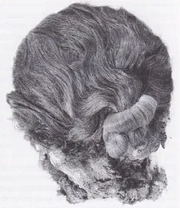 Datgenhead