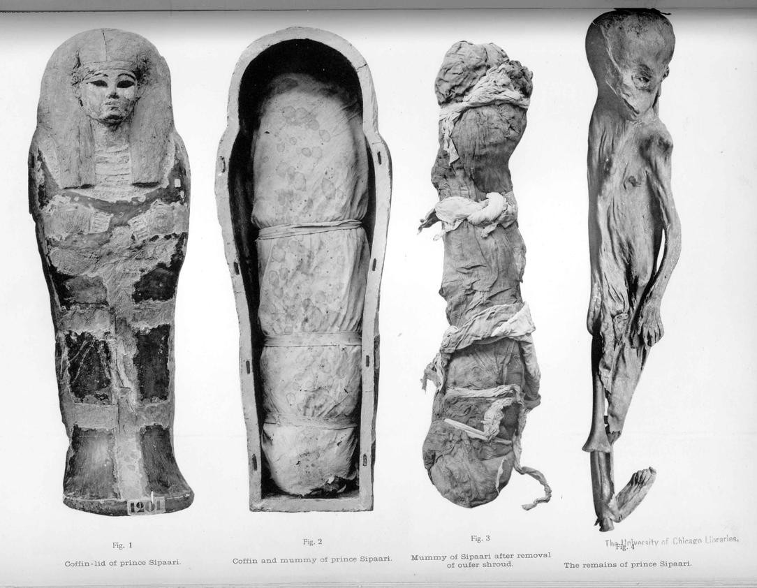 Ahmose Sipair Mummipedia Wiki Fandom Powered By Wikia