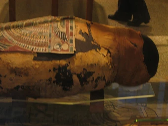Petosiris Mummipedia Wiki Fandom