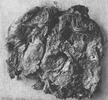 Obenaltendorf head