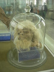 Saltman1