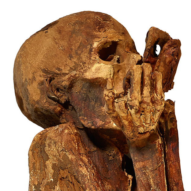 Gebelien Man British Museum Mummipedia Wiki Fandom