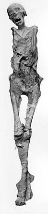 Ahmose-Meryetamen I. whole body