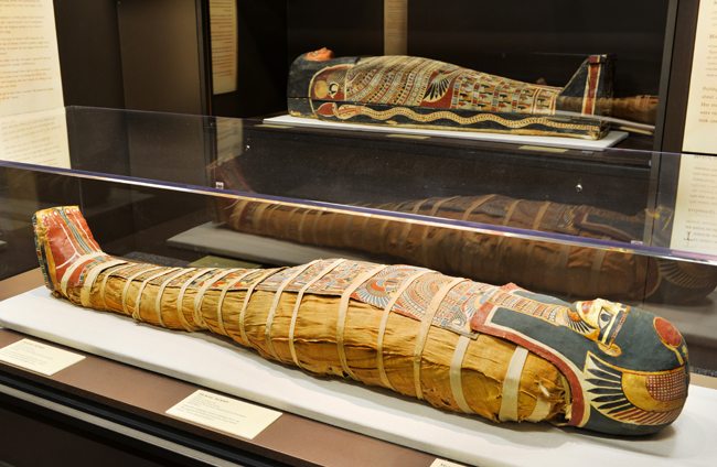 The Role Of Mummification In Ancient Egyptian Culture