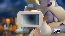 Walrus Camera Man - NYR