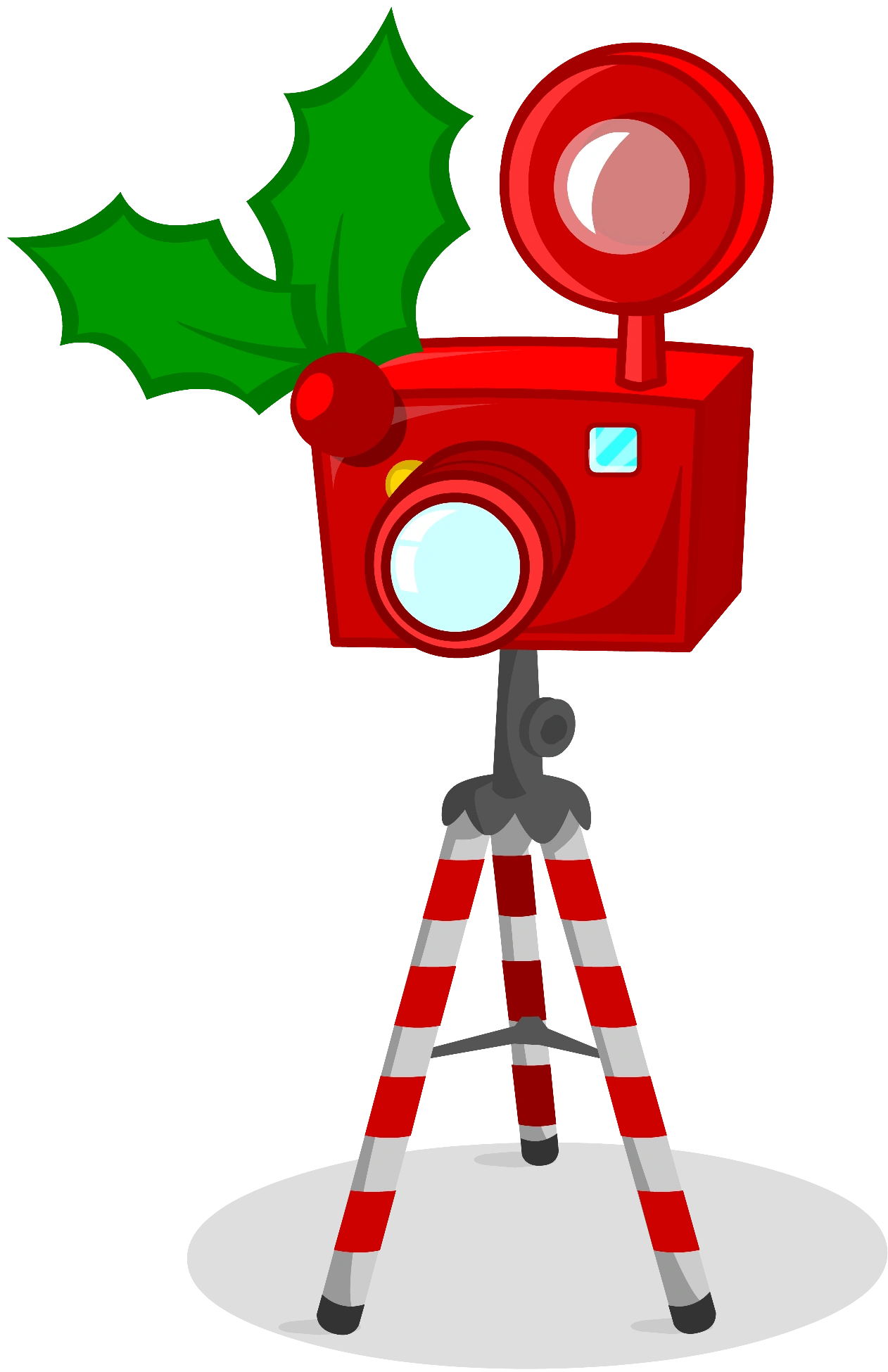 Resultado de imagen de camara foto navidad