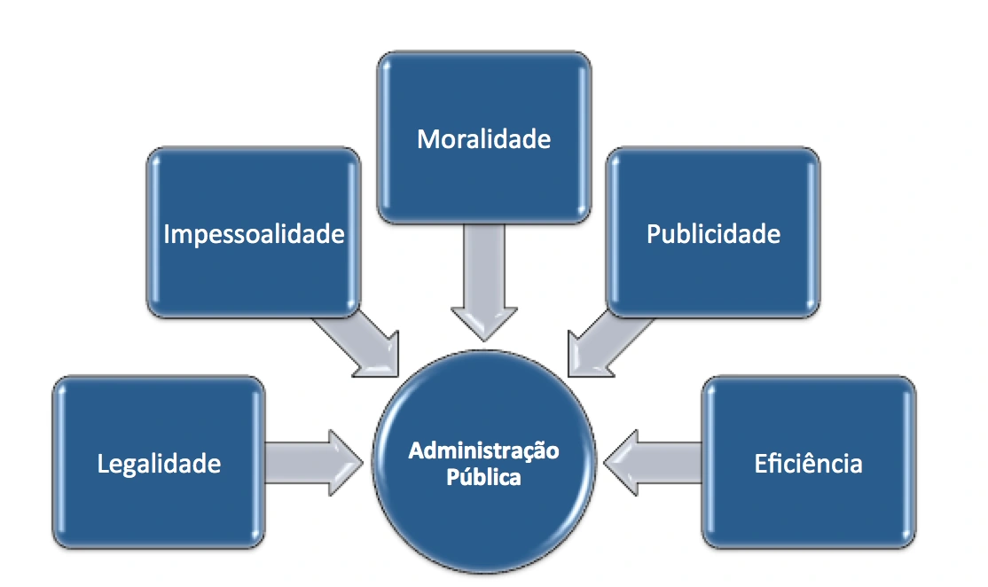 SUPERVISÃO E CONTROLE DO EXECUTIVO SOBRE AS EMPRESAS ESTATAIS Wiki Mundo Público Fandom SUPERVISÃO E CONTROLE DO EXECUTIVO SOBRE AS EMPRESAS ESTATAIS Wiki Mundo Público Fandom