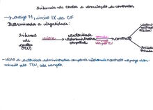 Esquema Anulação