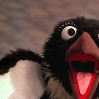 Penelope Penguin | Muppet Wiki | Fandom