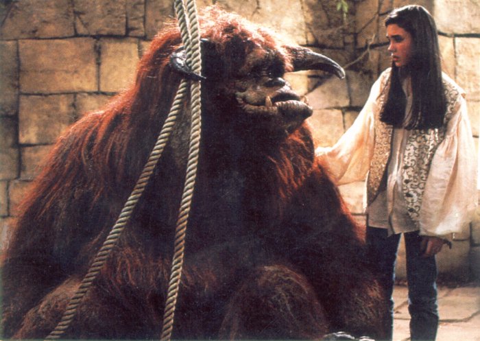 Ludo Film Ludo Film
