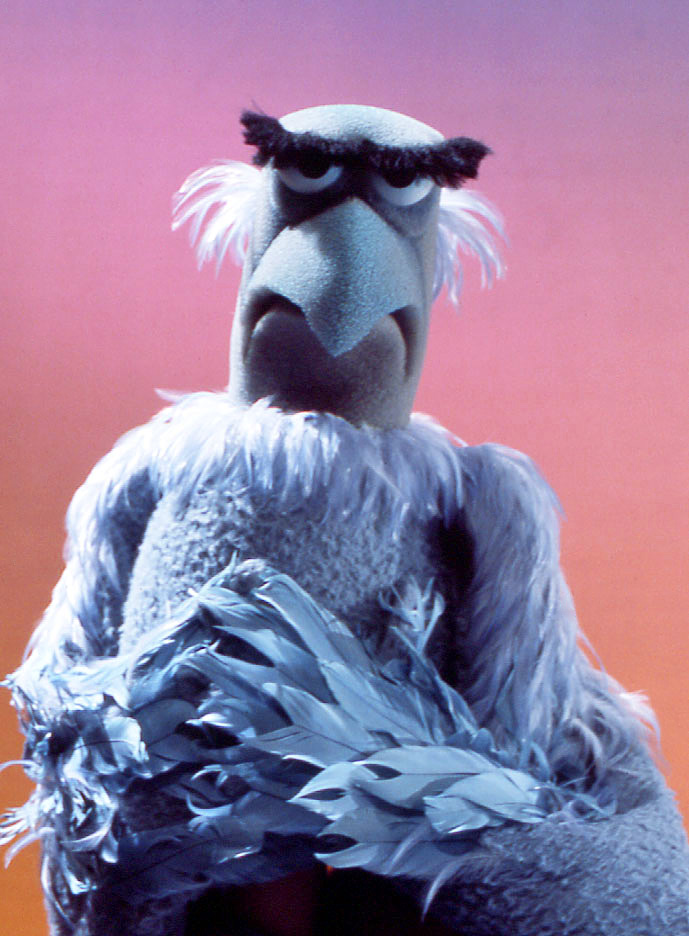 Image result for bird muppet guy