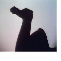 Shadow Puppet Series Muppet Wiki Fandom