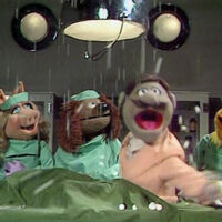 Hail Hail The Gang S All Here Muppet Wiki Fandom