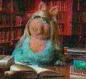 AFIpiggy
