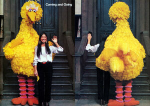 Buffy-bigbird