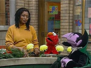 ElmoCount.AliceWalker