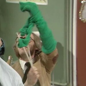 Goodies-kermit
