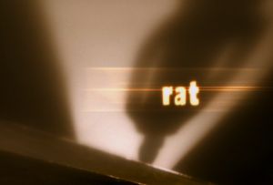 Rat Film