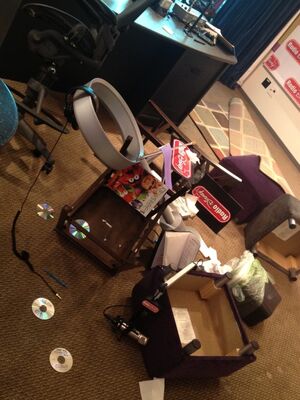Animal wrecks Radio Disney