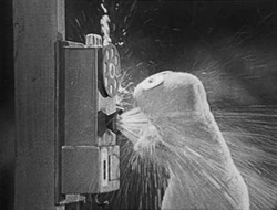Muppets in water | Muppet Wiki | FANDOM powered by Wikia