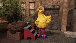 Roller skates | Muppet Wiki | FANDOM powered by Wikia