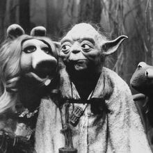 Me Ask Him To Marry You Also Me But Do It As Yoda With A Light