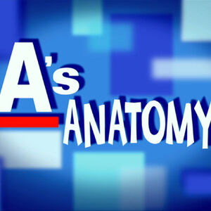 Grey S Anatomy Muppet Wiki Fandom