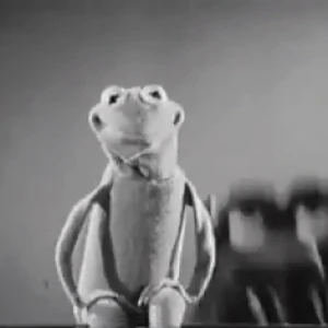 kermit the frog croc charm