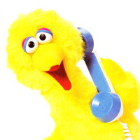 talking big bird doll