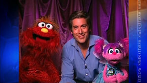 ABCNews-DavidMuir-(2009)