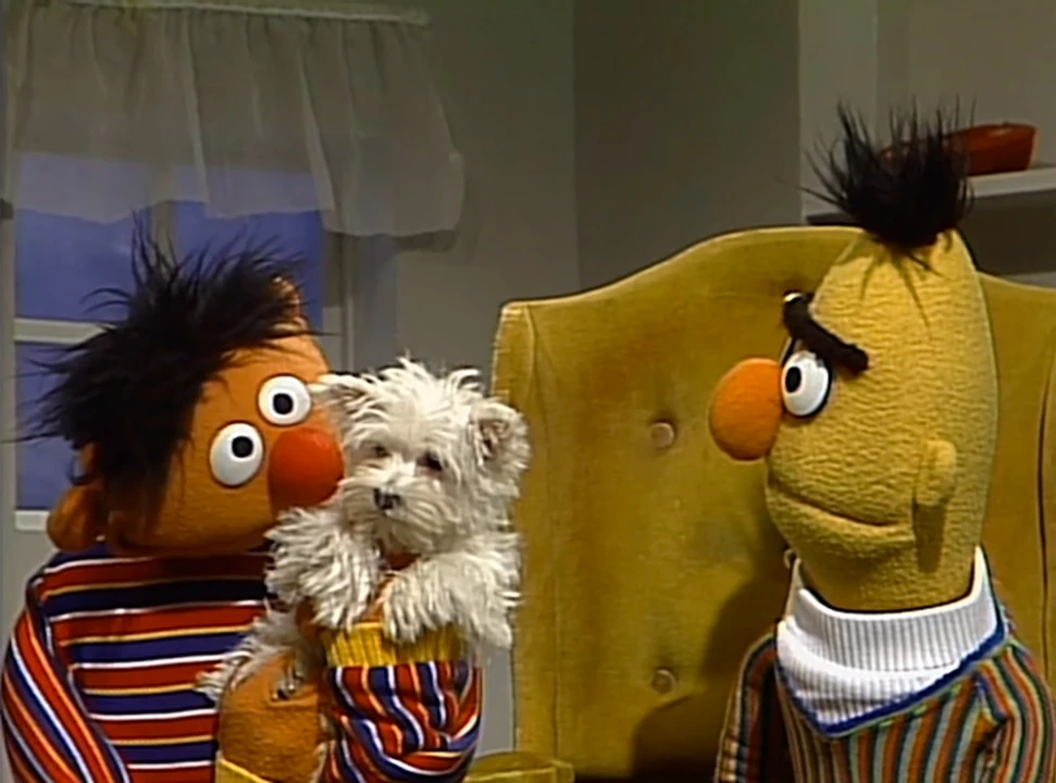 Episode 3938 Muppet Wiki Fandom