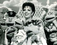 Episode 414: Liza Minnelli | Muppet Wiki | FANDOM powered by Wikia