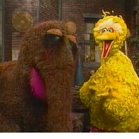 Feathers And Fur Muppet Wiki Fandom